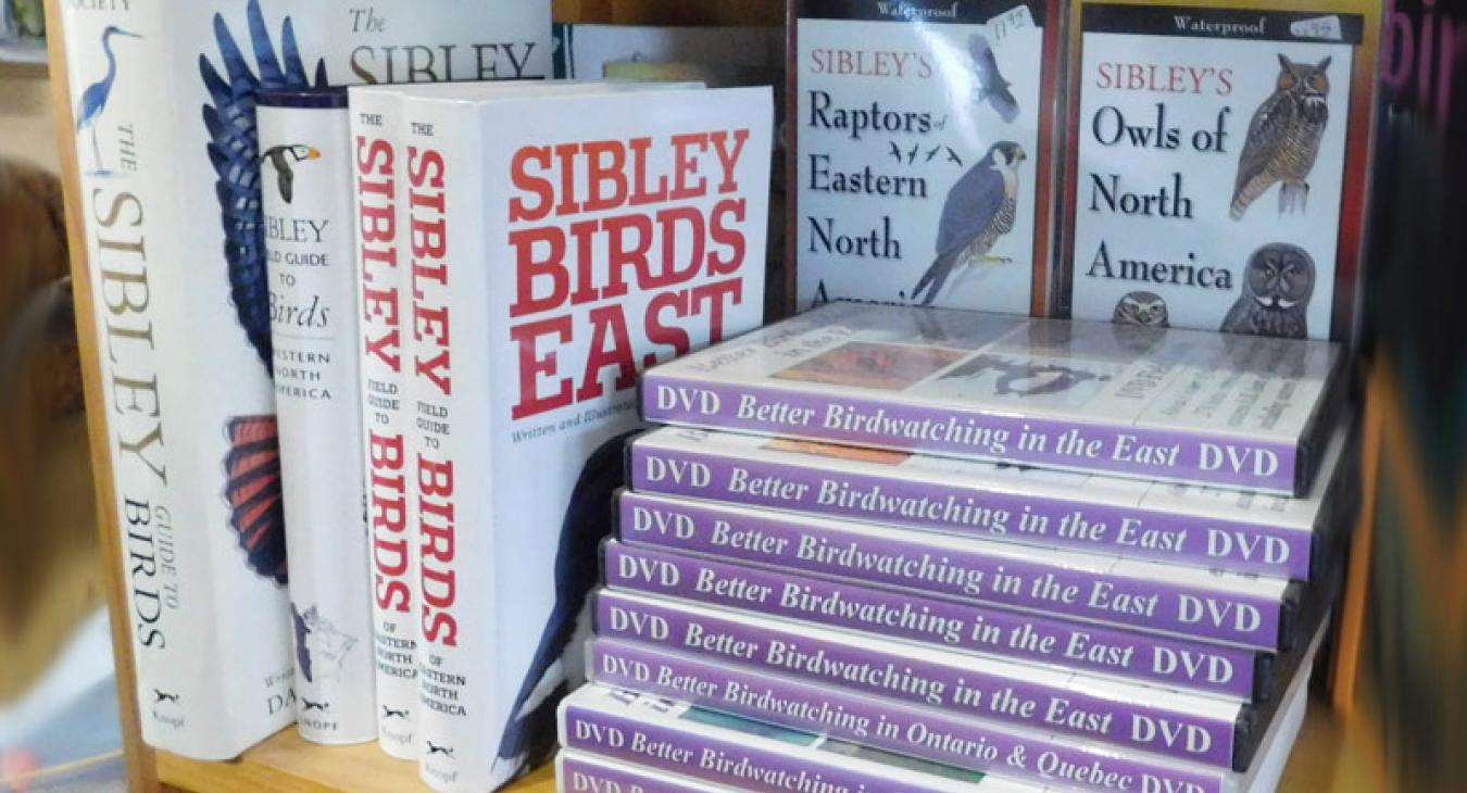 sibley bird guides
