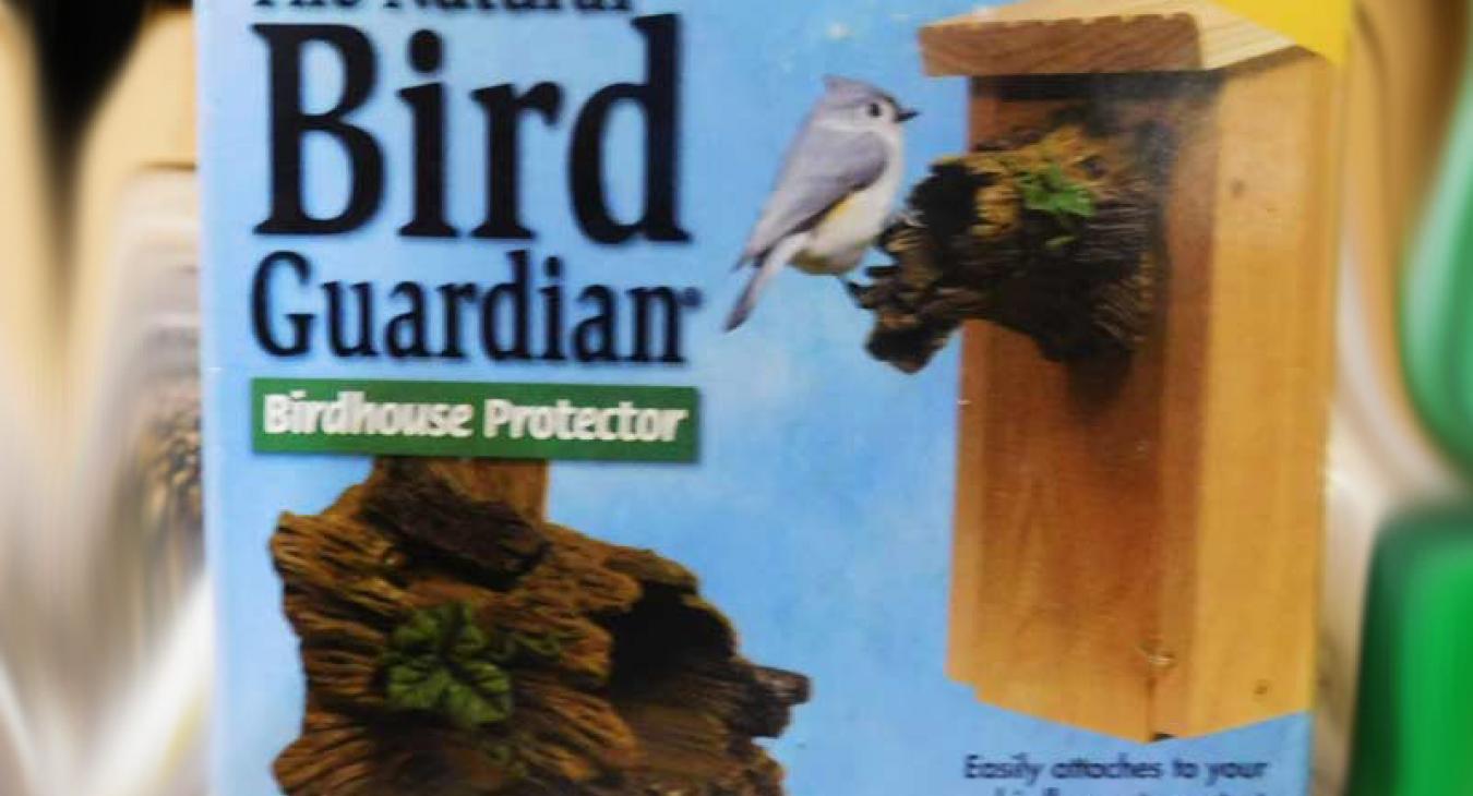 bird guardian