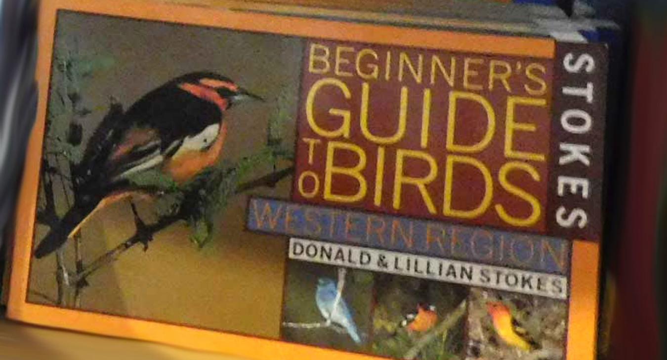 birding guide