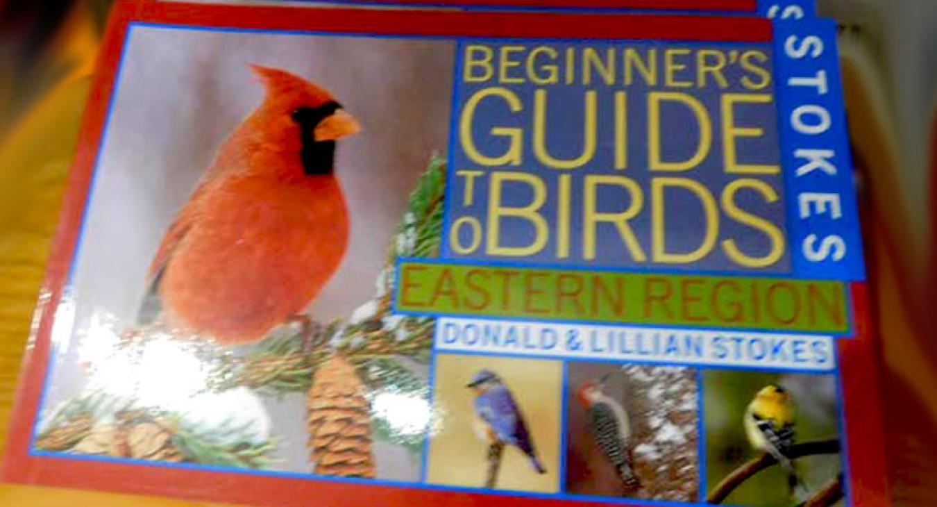 stokes bird guide