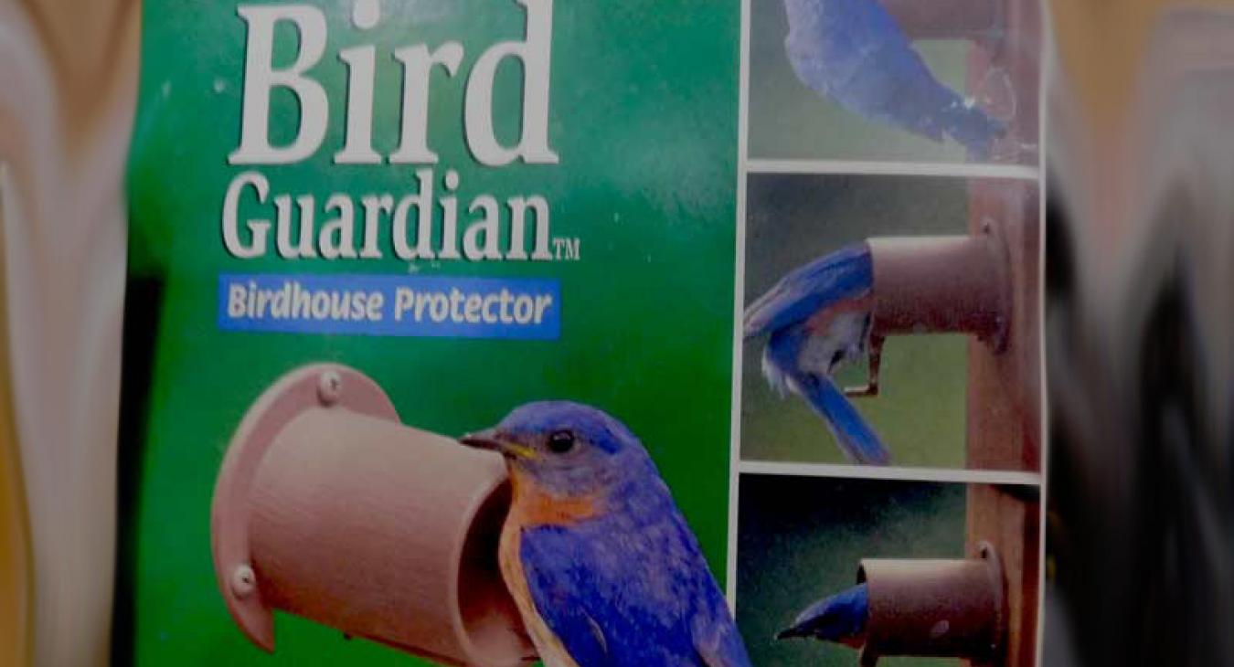 bird guardian