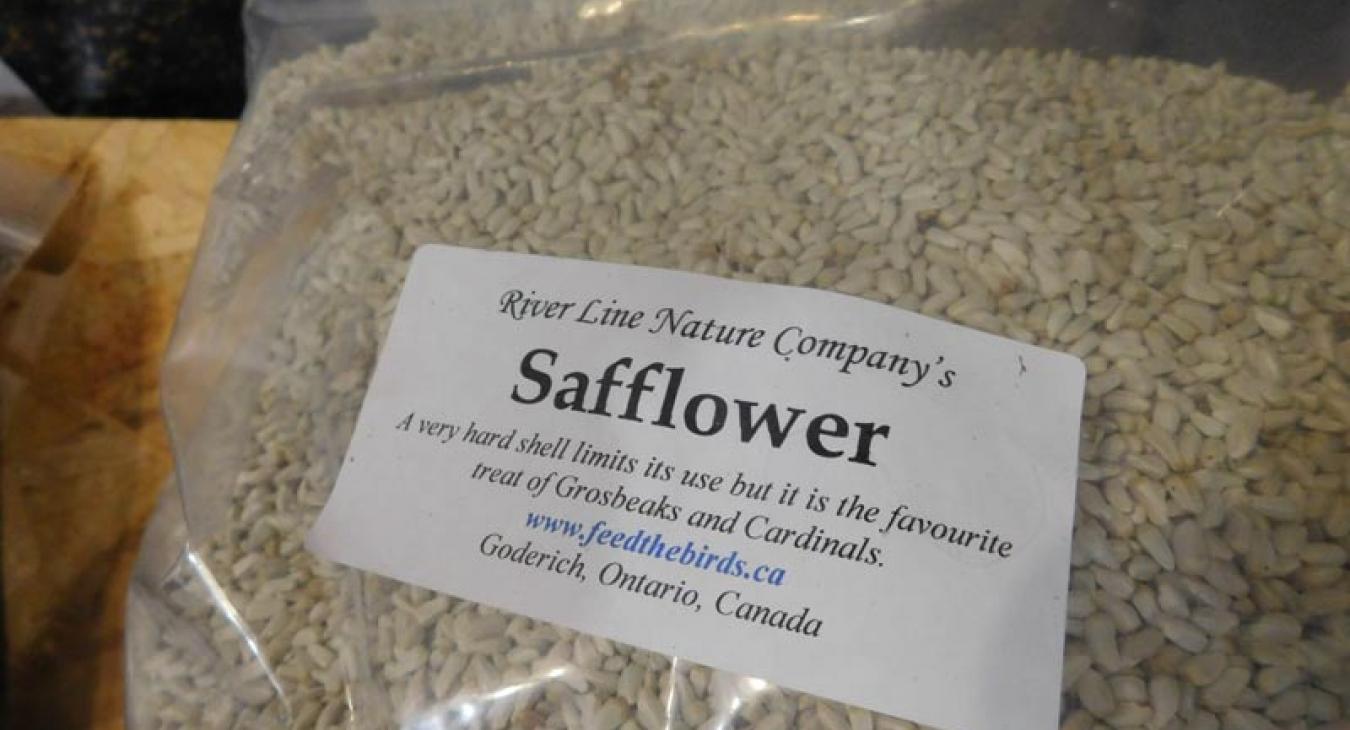Safflower